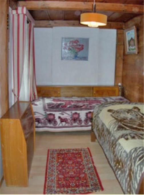Apartments Dr. Med. Vet. Tempelman Interlaken Rum bild